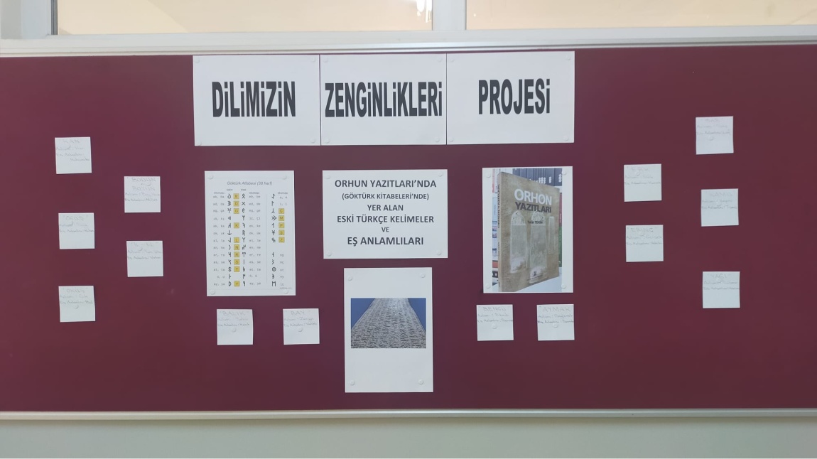 Dilimizin Zenginlikleri 